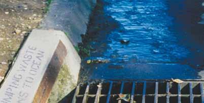 Excess watering creates urban runoff that carries pollutants into storm drains and then to the ocean, causing an