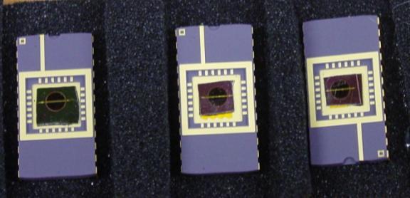 Figure 1. Photograph of three activated nanoporous silicon chips loaded with NaClO 4 mounted on DIP sockets resting on an electrically conductive foam pad prior to experiments.