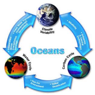 Ocean related feedback exists between climate variability, the water cycle and the carbon cycle. http://nasa-information.blogspot.co.uk/2010/11/ocean-earth-system.html http://www.nasa.gov/images/content/703470main_infographic.