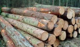 Decomposition/combustion of wood consumed Exports National boundary