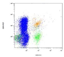 This CD19 x CD10 dot plot demonstrates characteristic CD19/ CD10 co-expression by hematogones (orange). CD19-positive B lymphocytes (green) and CD10-positive granulocytes (blue) are also noted.