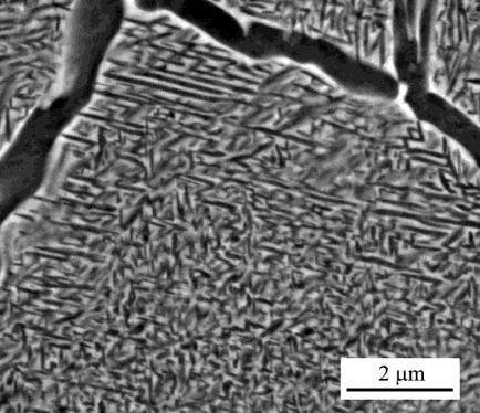 Lamellae of -phase are created during annealing at high temperatures in region Ageing small -plates can be created High-stabilized alloys precipitates can be formed