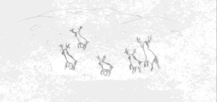 423_2 (Aspect: energy conservation Level of cognitive complexity: mappings) For (A), select 1 option in each line. For (B), select 1. Reindeers find lots of food in northern Canada in summer.