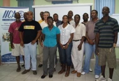This invovled an initial six-day visit by Dr Manuel Sanchez from the Office in the Dominican Republic to Antigua and Barbuda and Saint Lucia to undertake a diagnostic assessment of the small ruminant