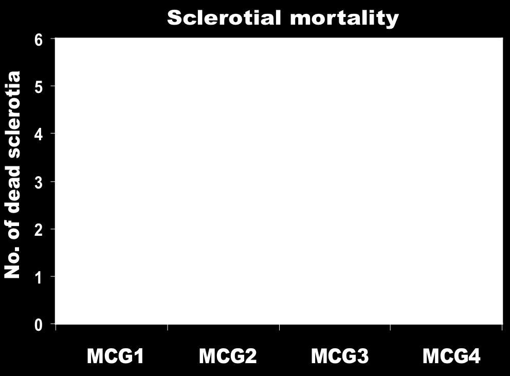 of different MCGs of Sclerotinia minor in causing sclerotial mortality.