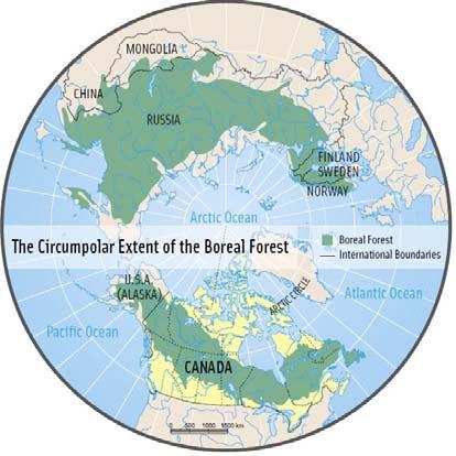 Networking example: Circumboreal Initiative Principal Boreal Regions Russia, 710 m ha Canada, 310 m ha USA (Alaska), 59 m ha Finland, 22 m ha Sweden,
