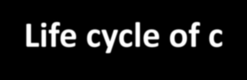 Life cycle of c-octabde
