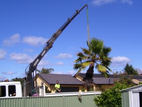 Sapphire Coast Tree Service & Tower Hire will provide adequate health and safety support and training to both our management staff and our work force employees.