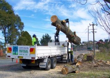 Roadside Clearing Part of our complete vegetation management service.