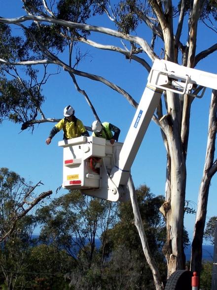 ELEVATED WORK PLATFORM (EWP) Modern and well kept EWPs/Towers are often used in the work of power line vegetation management and enable us to work efficiently and safely.
