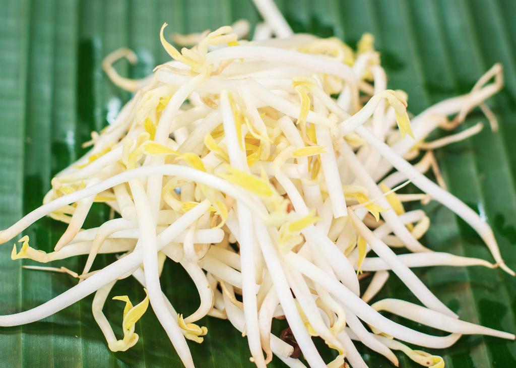 Catalase Testing Figure 3. Raw bean sprouts. Dan loei tam loei Aerobic respiration results in metabolites (by-products) that include oxygen ions and peroxides.