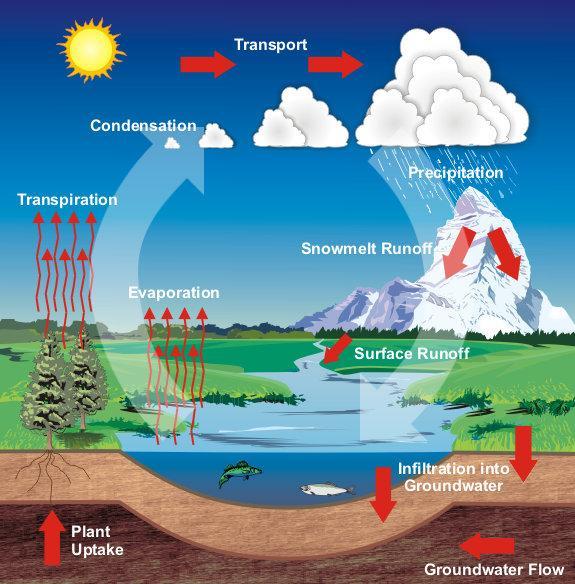 The Water Cycle Continued 4.