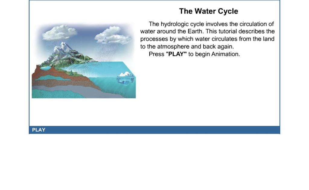 The Water Cycle Web