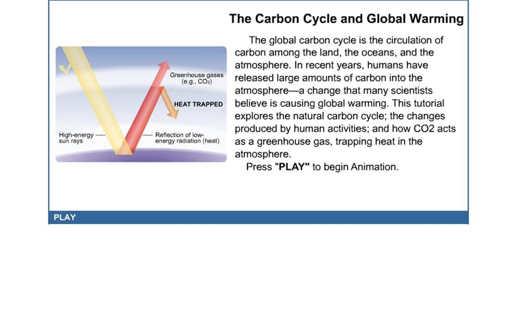 The Carbon Cycle Web Activity: