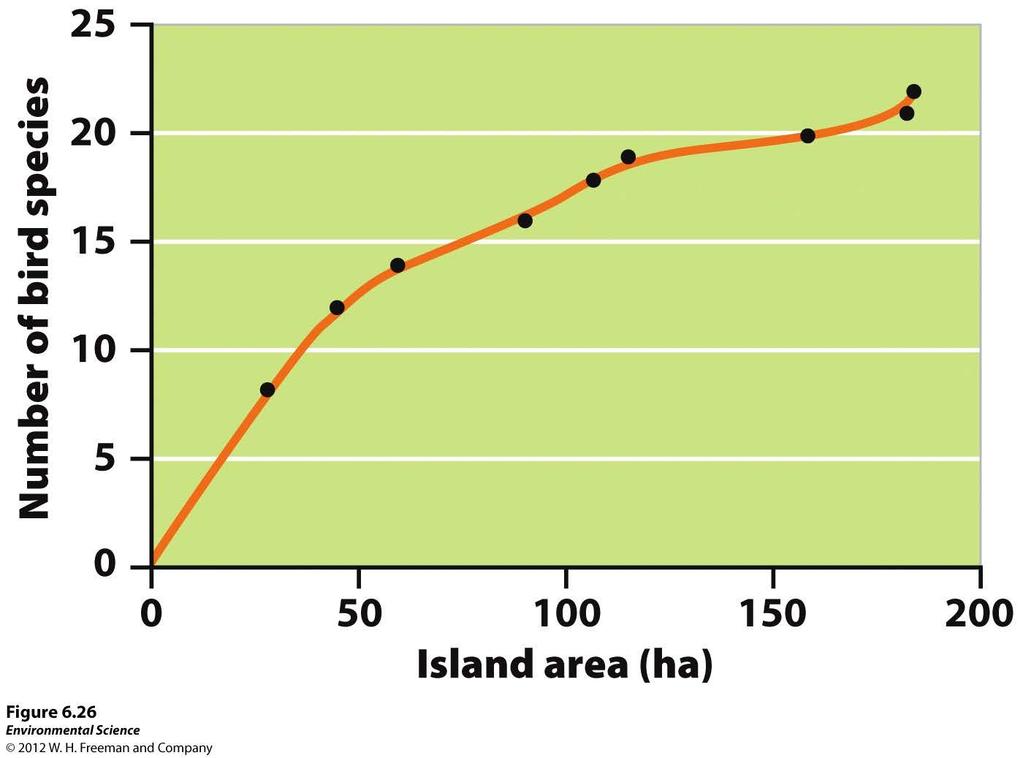 Theory of Island Biogeography Theory of island biogeography- the theory