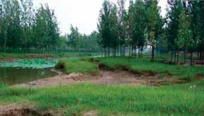 Threatens on wetland in China Natural factors Climate