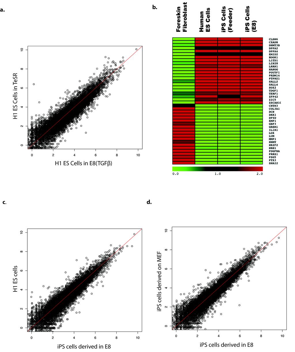 Supplementary Figure 2. Global gene expression analysis of human ES and ips cells in defined conditions. a. ES cell gene expression is similar in cells grown in E8 media compared to those in TeSR.