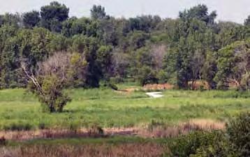 Preservation & Restoration Keeping the diversity of the Illinois landscape requires careful planning, management and maintenance.