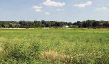 Restoring the Land By comparing recent maps and land surveys with historic ones, the Forest Preserve identified areas of Hadley Valley that needed to undergo restoration.