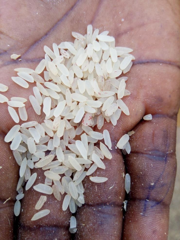 Polished parboiled rice