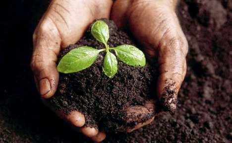 What is Soil? Outline How Do We Use, Abuse, and Conserve Soils?