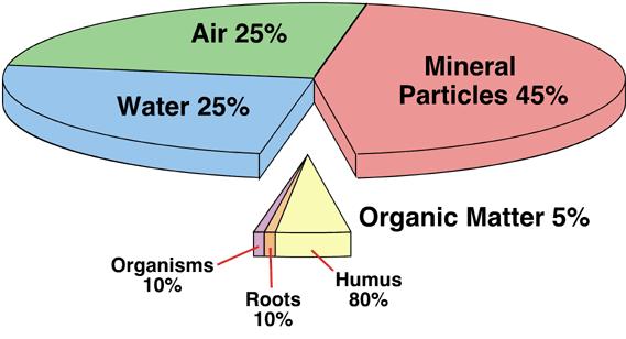 destroys its soil destroys itself - F.D.R. What is Soil?