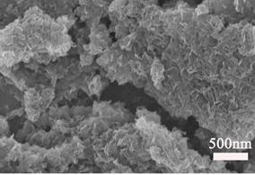 (a) SEM image and TEM image of the as-syntheitc