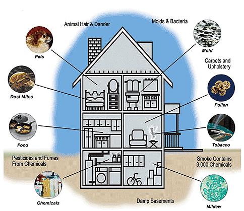 Environmental Toxins and Contaminants Indoor Environments Radon Adapted