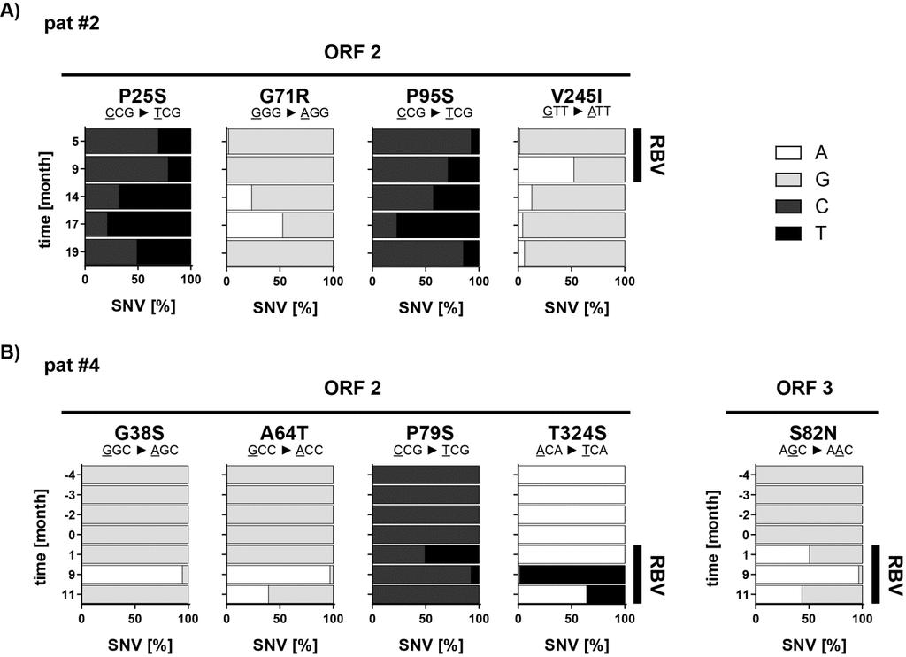 Supplement Figure 4: Time course of non-synonymous single nucleotide variations at certain positions of the HEV ORF2 and ORF3 in patients experiencing RBV treatment failure.