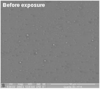 providing moisture barrier during storage and yet ensuring rapid release in stomach. Moisture Barrier Properties of NREP films (No change on exposure to distilled water for 7 days).