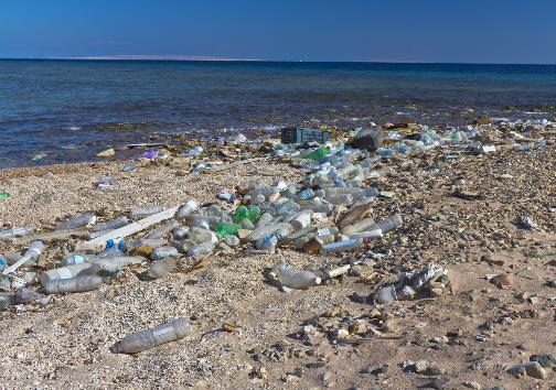 PLASTIC WASTE PERCEPTION OF LITTER TO BE