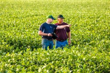 Objectives Review the evolution of dicamba herbicide formulations Affirm sound weed management practices Explain key stewardship practices for effective application and use of FeXapan and other