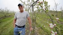 Economic consequences: Climate extremes in eastern Canada Orchard production: Early blooming