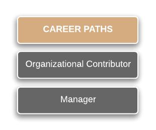 CAREER PATHS: LEVELS