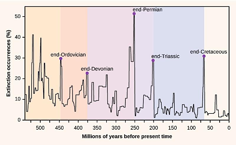 10 Change in biodiversity through time Extinction intensity as reflected in the fossil record has