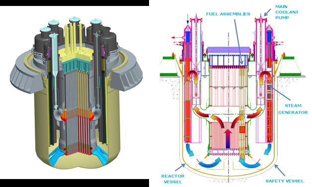 ALFRED primary system Section Reactor block Lead-cooled pool-type reactor of 300 MWth (~ 130 MWe power).