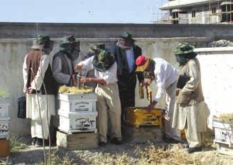 Migratory beekeeping with Apis mellifera gives a return of US$2 for every dollar of investment.