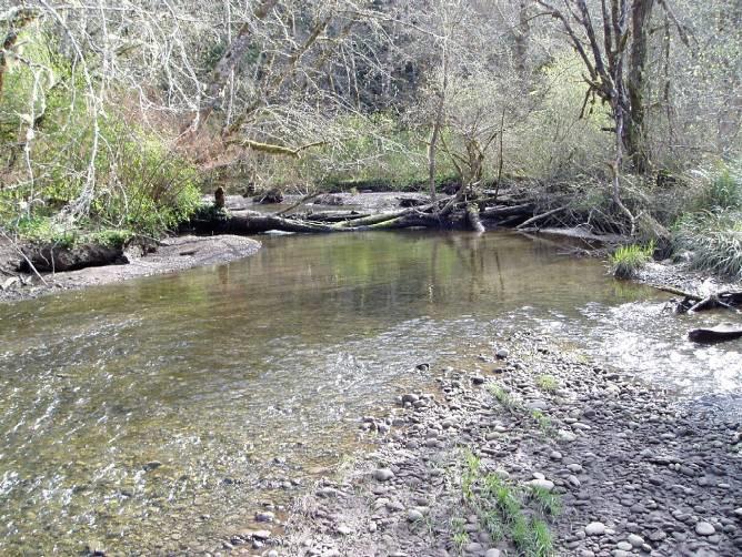 INDIVIDUAL STREAM DATA BIG ANDERSON CREEK Big Anderson Creek watershed is located in the western most part of Kitsap County and discharges near Holly.