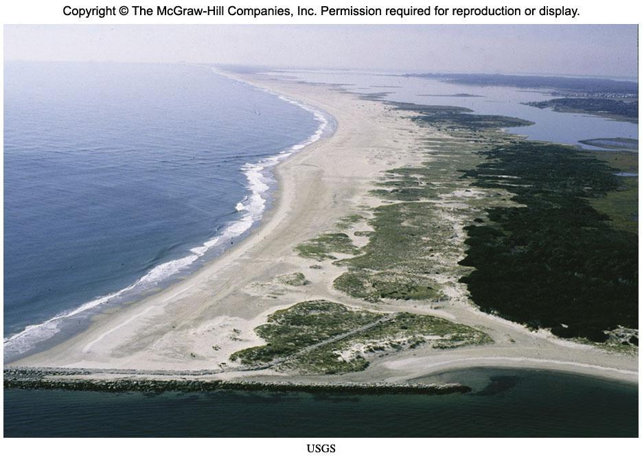 Barrier Islands Narrow islands made of sand that form parallel to a coastline Provide protection from storms, waves, tides Since they are