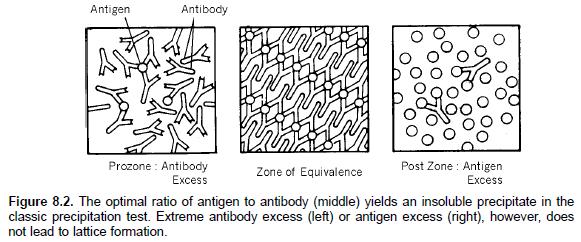 Precipitation Reactions: -This describes the reaction between soluble antibody and soluble antigen in which an insoluble product results, the precipitate.