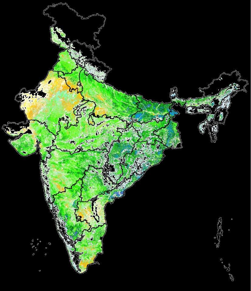 Indian Agriculture Net Area Sown : 141.