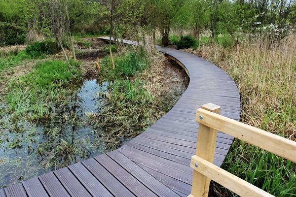 sizes and depths to create areas of permanent open water, ephemeral areas to enable natural filtration and improve water quality/biodiversity Thin out willow carr, retain wood