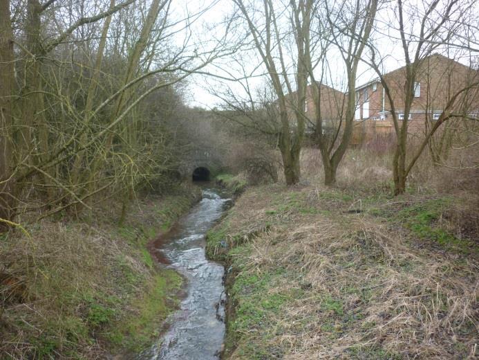 3.4 Area 4 Naturalise water course Bushby Brook Reasons for Project: Hydro-morphology is a WFD failing indicator of the Willow Brook.