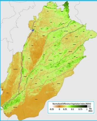 CRS CROP BULLETIN CROPS SITUATION JULY,2015 +SUMMARY During the month of July, 2015 heavy monsoon rains have triggered flash floods across Pakistan.