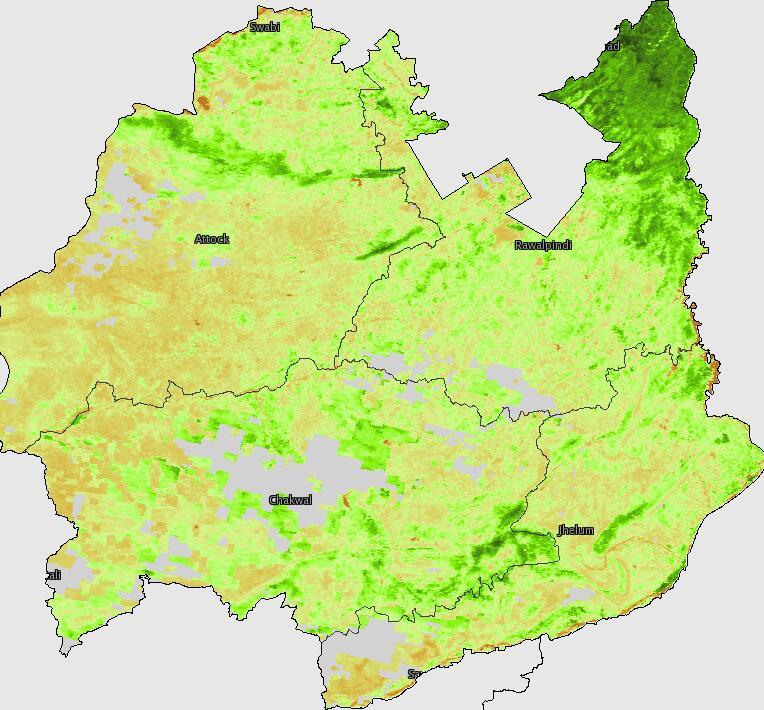 Normalized Difference Vegetation Index (NDVI)