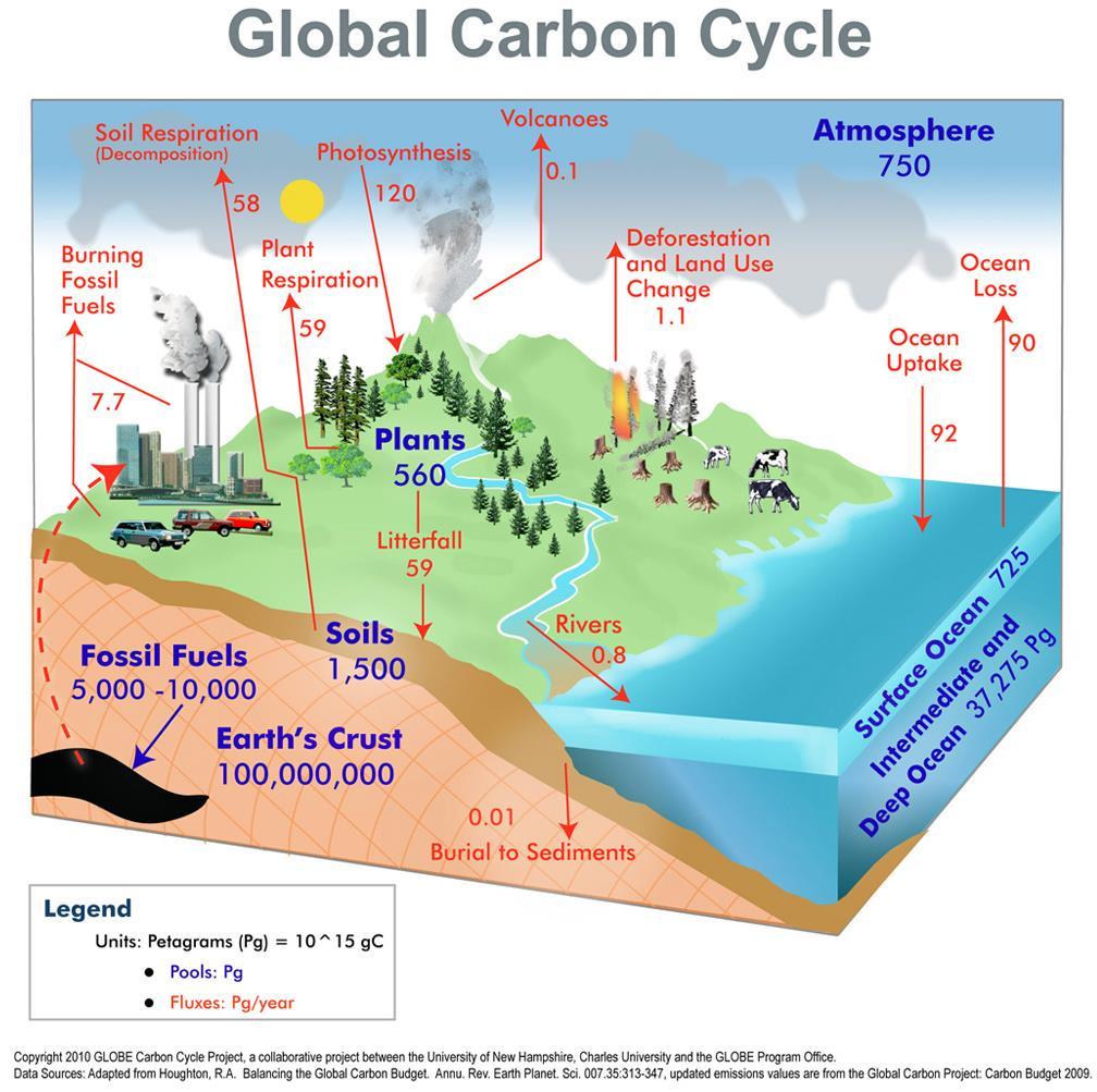 Factors that can Affect Carbon Balancing Reforestation (Boreal) No-till agriculture (energy and reduced soil erosion)