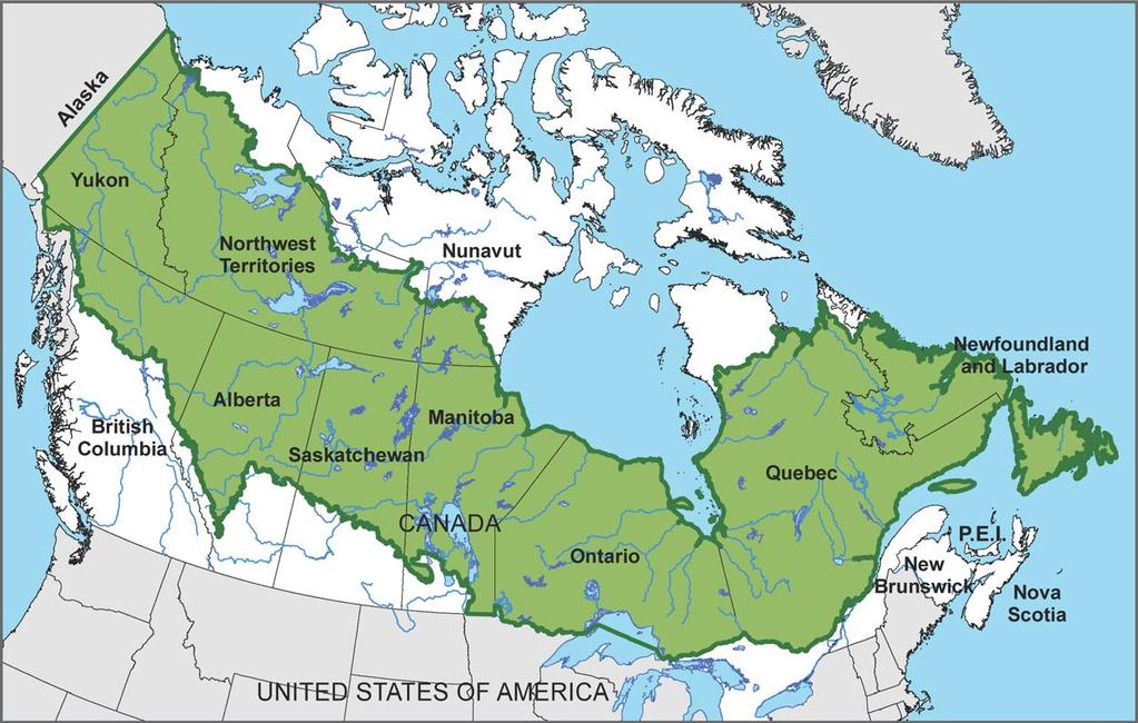 Canada s Boreal Forests are a massive carbon sink The report said the 208.