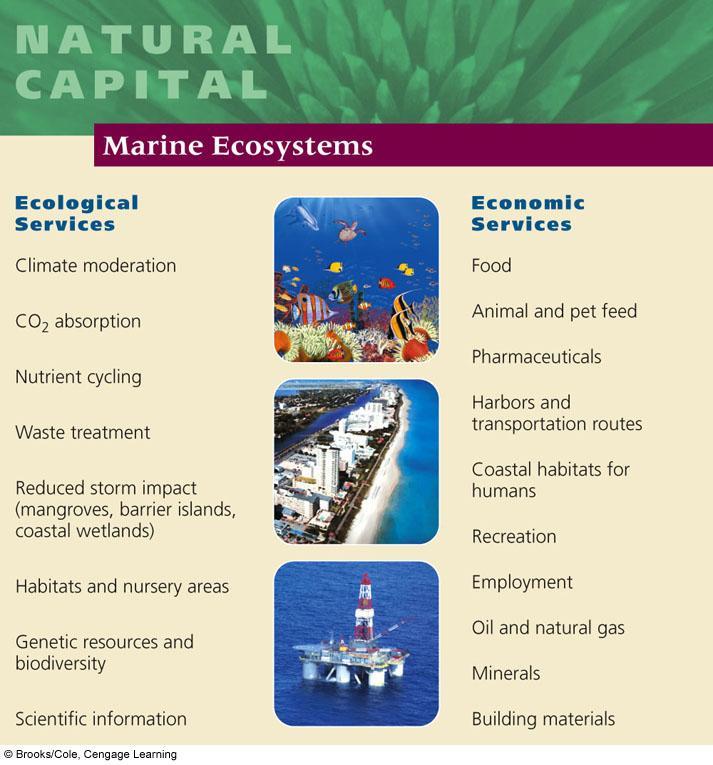 Major Ecological and Economic