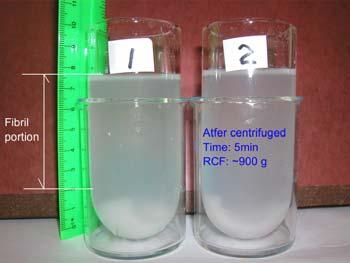 Composite from PVA and fibrils by casting: PVA (10%) water solution Fibril (or mixture of fibril &