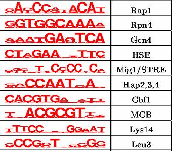 Outline Regulatory regions Recap: Prokaryotic gene finding Eukaryotic gene finding The human gene complement Regulation A B C Polymerase Polymerase D A B C Examples of binding site motifs